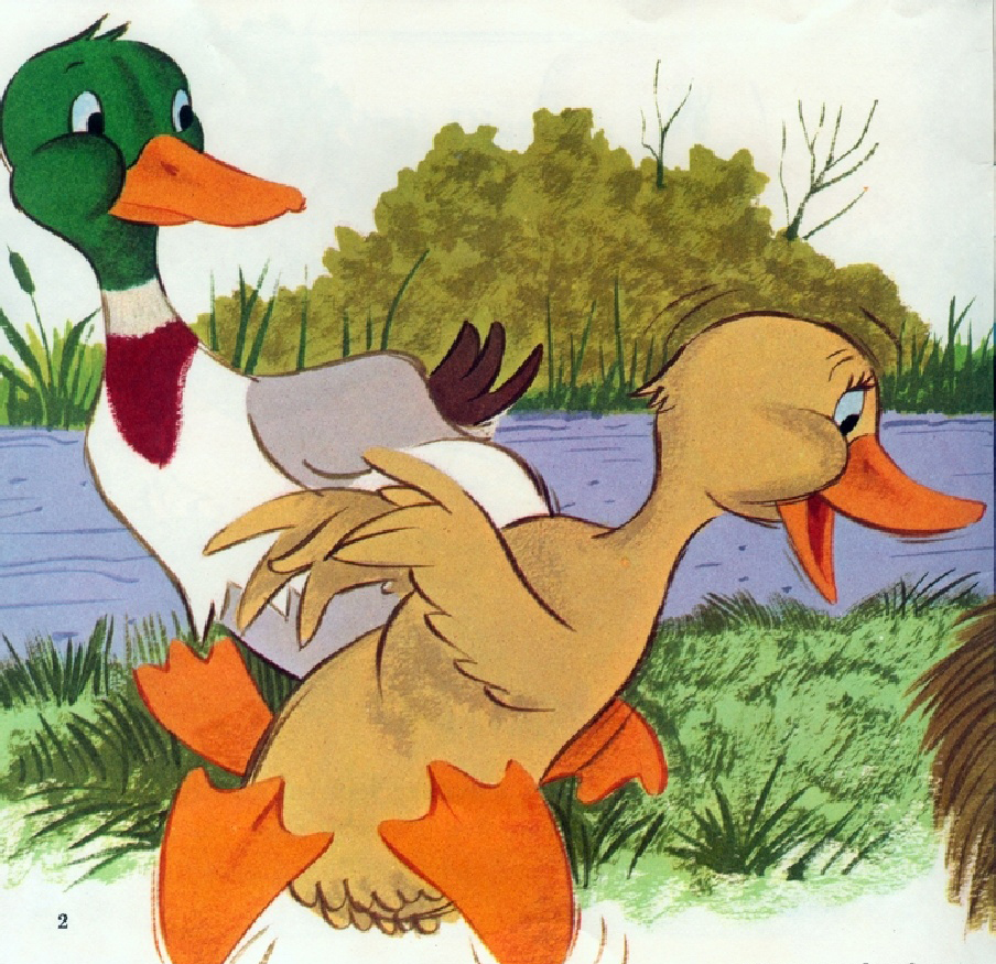 The Ugly Duckling (04),绘本,绘本故事,绘本阅读,故事书,童书,图画书,课外阅读